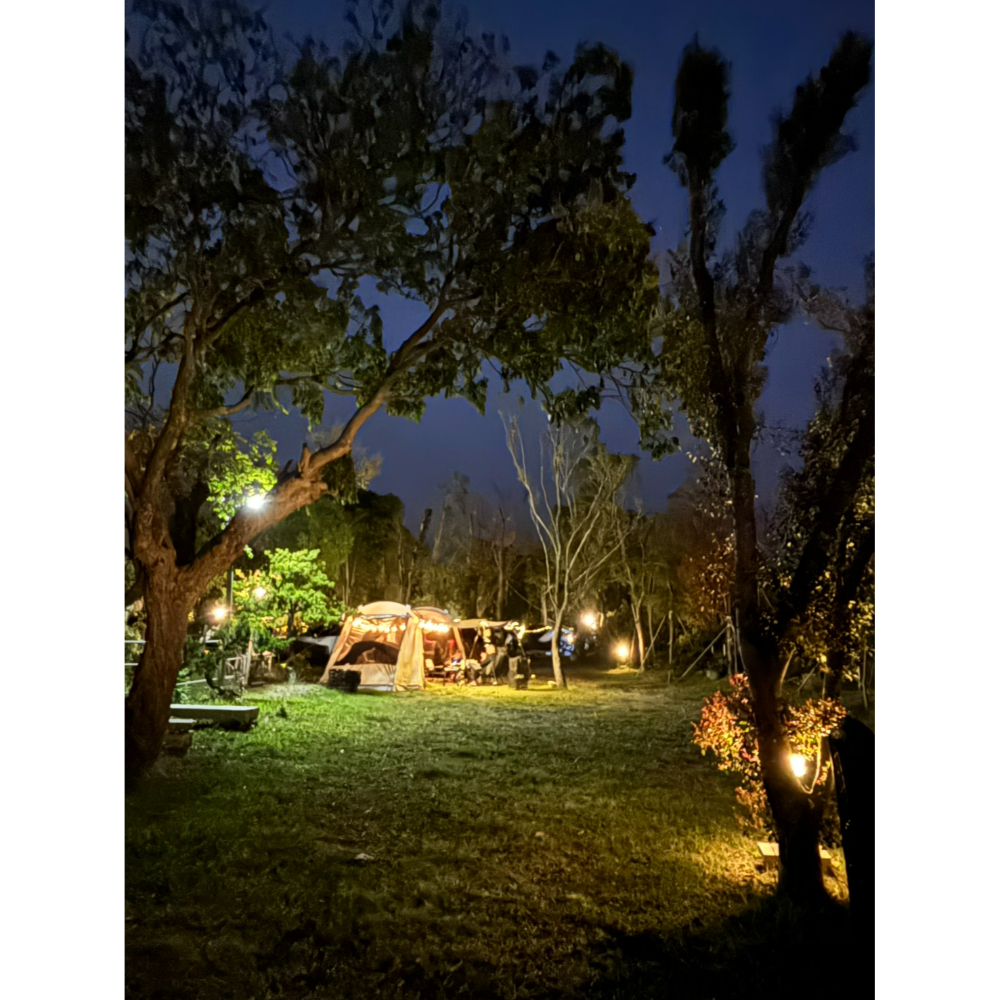 C5 單帳區｜20x12米寬｜單帳1000